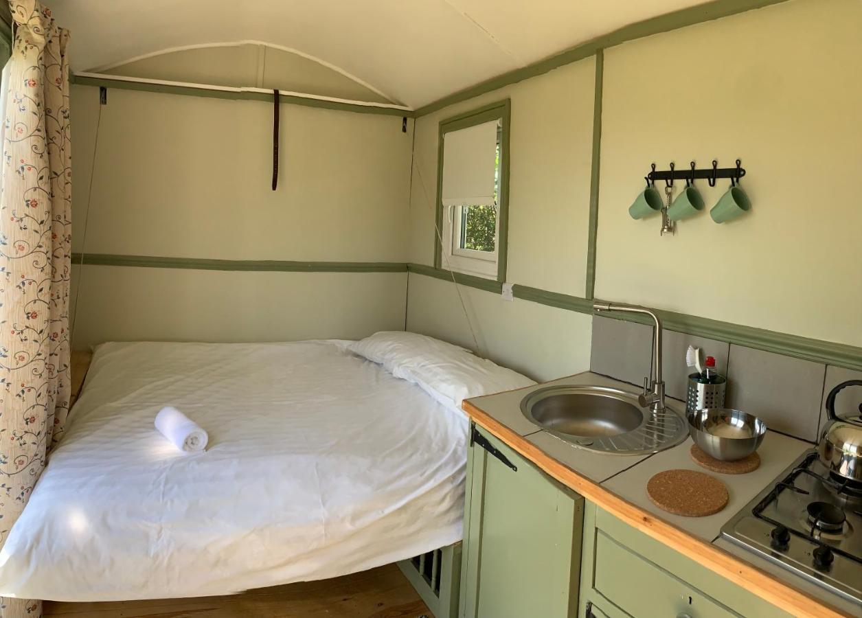 Hillcrest Hut Apartment Tenby Ngoại thất bức ảnh